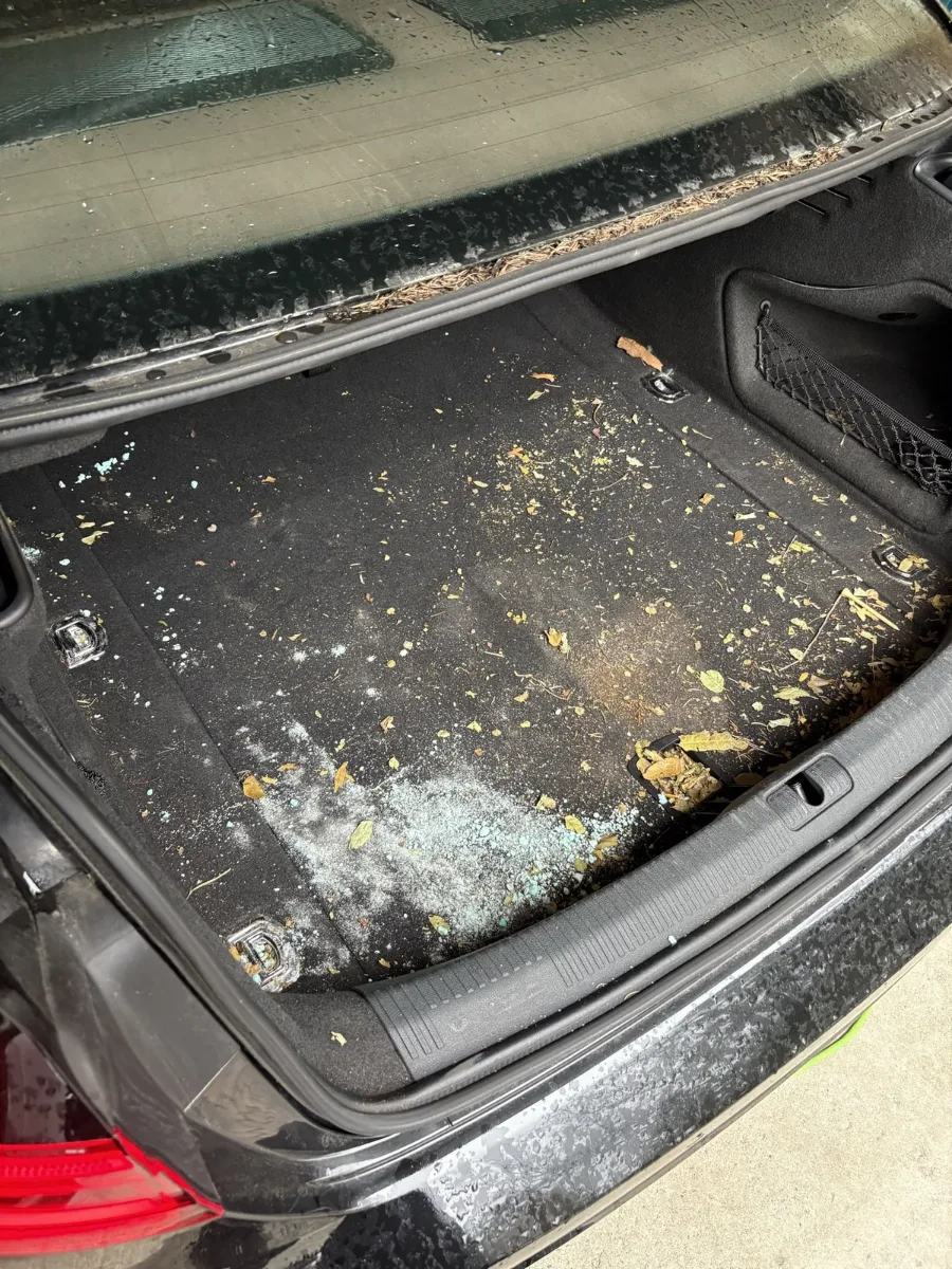 Before trunk deep cleaning by JMcKay's Mobile Auto Detailing